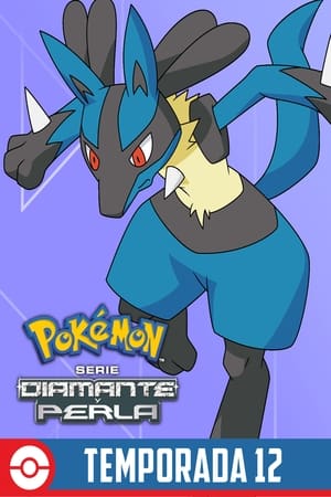 Pokémon Temporada 12 poster