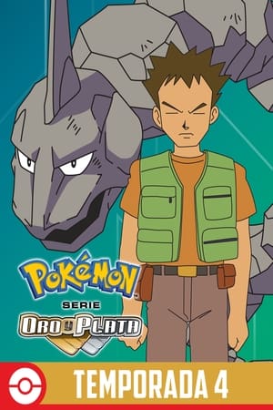 Pokémon Temporada 4 poster