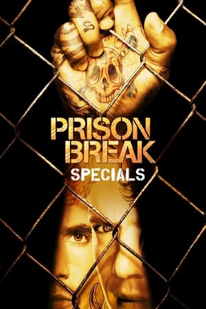 Prison Break Temporada 0 poster