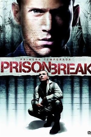 Prison Break Temporada 1 poster