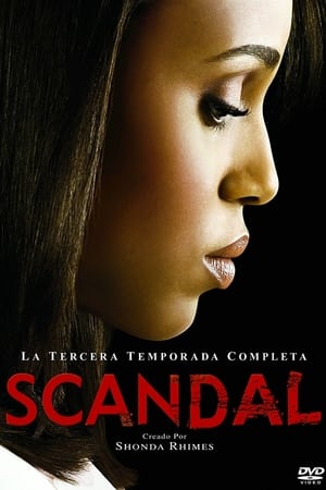 Scandal - temporada 3 poster
