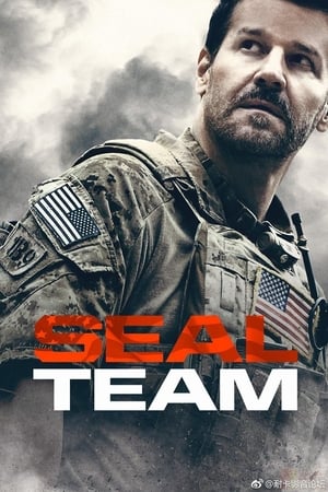 SEAL Team - temporada 2 poster