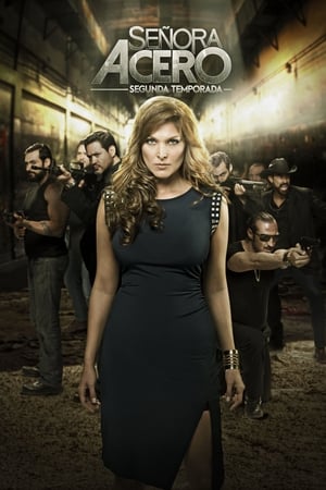 Señora Acero Temporada 2 poster