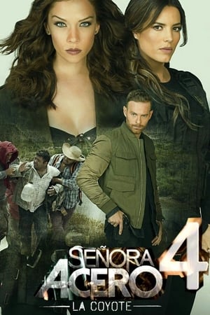 Señora Acero Temporada 4 poster