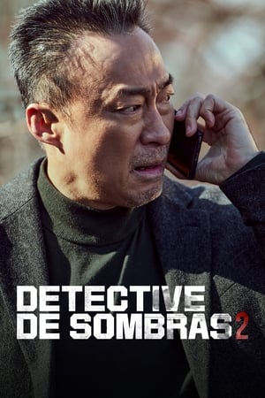 Shadow Detective