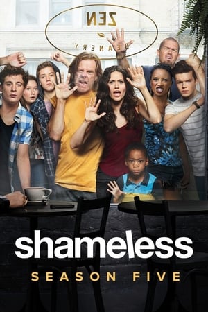 Shameless Temporada 5 poster