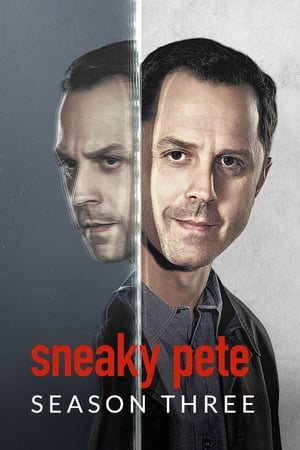 Sneaky Pete Temporada 3 poster