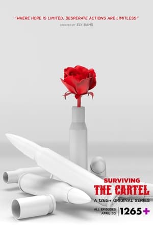 Sobreviviendo al cártel - temporada 1 poster