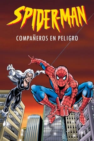 Spiderman Temporada 4 poster