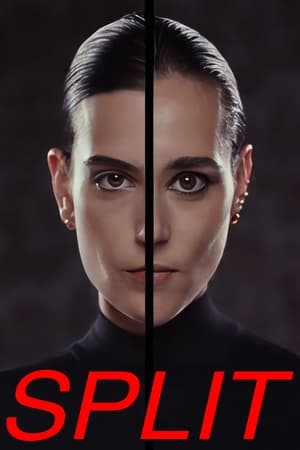 Split Temporada 1 poster