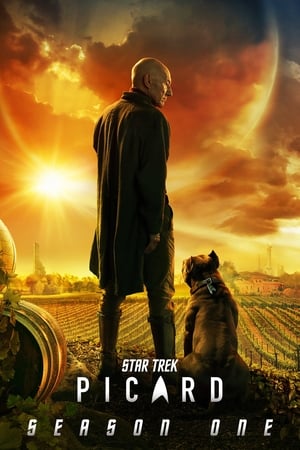 Star Trek: Picard Temporada 1 poster