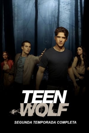 Teen Wolf - temporada 2 poster