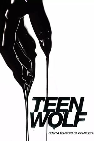 Teen Wolf - temporada 5 poster