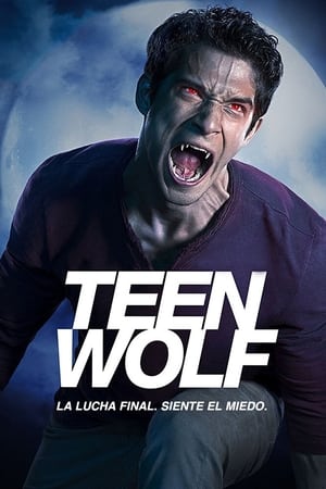 Teen Wolf - temporada 6 poster