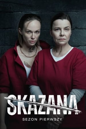 The Convict Temporada 1 poster