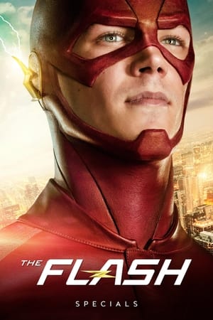 The Flash Temporada 0 poster