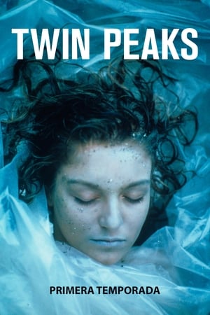 Twin Peaks Temporada 1 poster