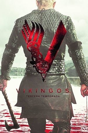 Vikingos Temporada 3 poster
