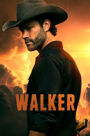 Walker Temporada 4 poster